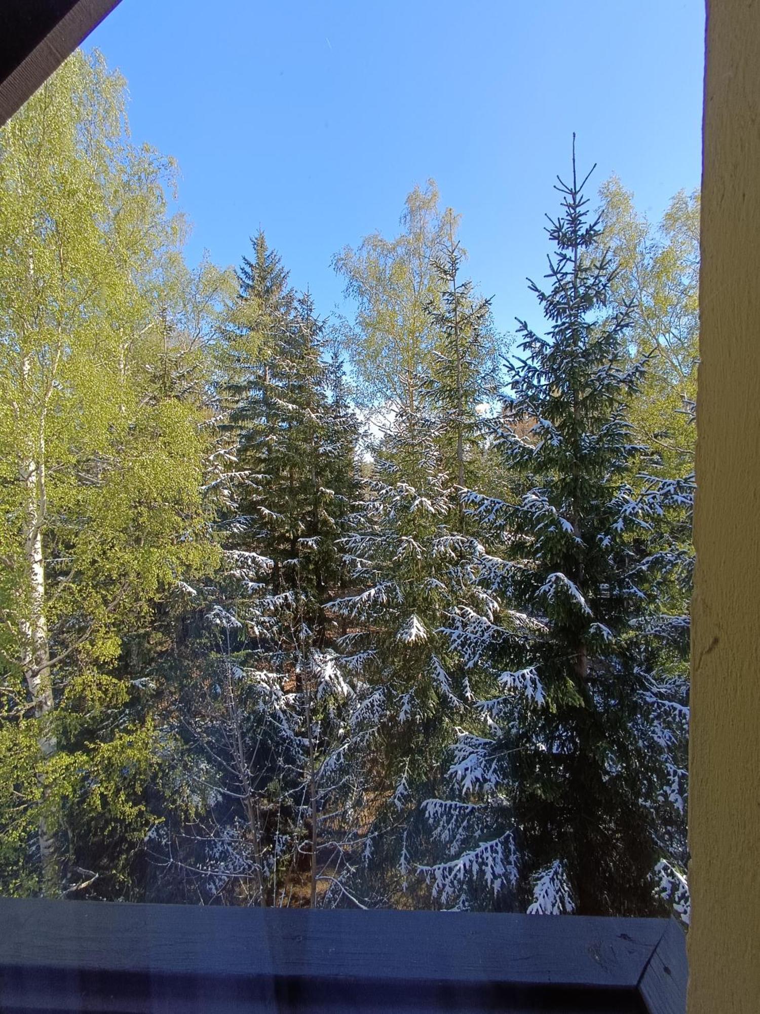 Alaska Karpacz